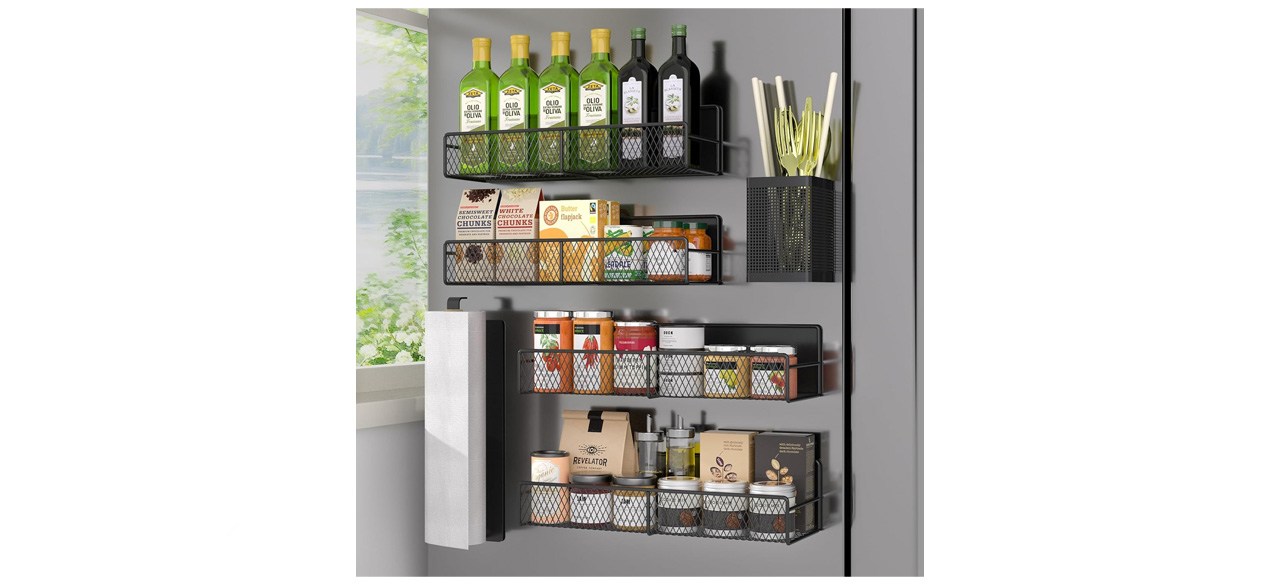 DTUQYX Magnetic Spice Rack for Refrigerator, Six-pack